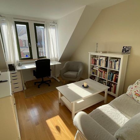 Loft Mit 2 Terrassen - Ruhig&Sonnig Apartment Leipzig Exterior photo